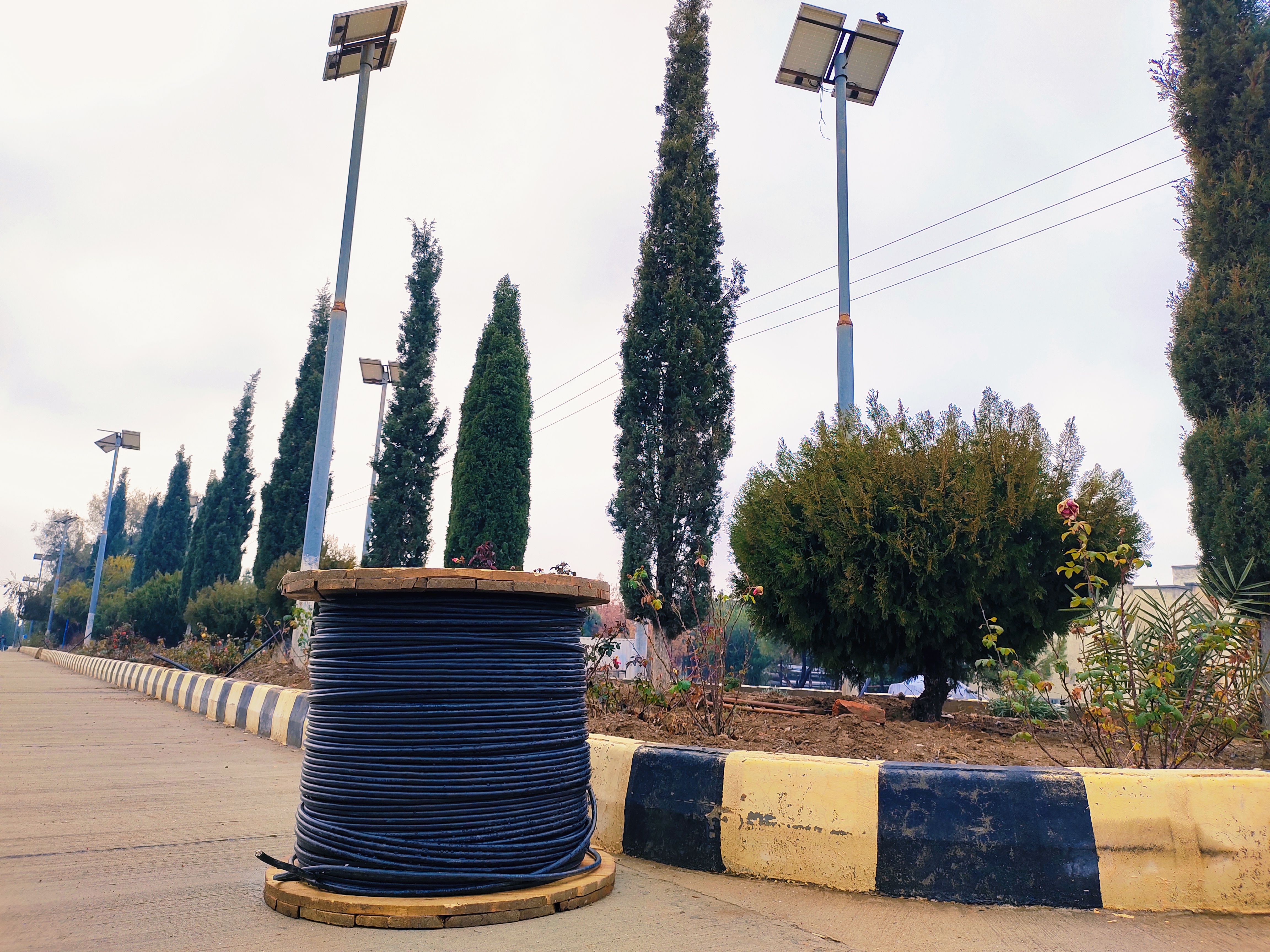 دذدرلبیطلا