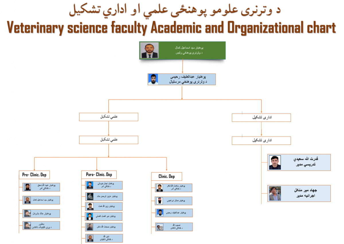 Lecturers of Veterinary faculty